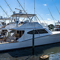Hatteras Marlin Club
