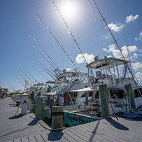 Hatteras Marlin Club