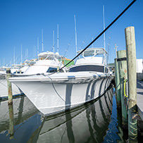 Hatteras Marlin Club