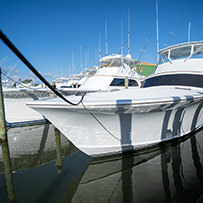 Hatteras Marlin Club