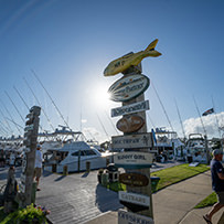 Hatteras Marlin Club