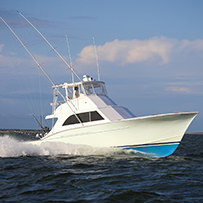 Hatteras Marlin Club