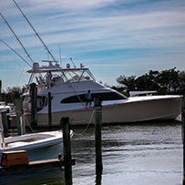 Hatteras Marlin Club