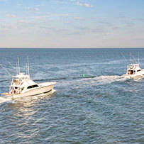 Hatteras Marlin Club