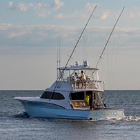 Hatteras Marlin Club