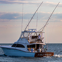 Hatteras Marlin Club