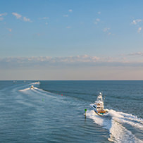 Hatteras Marlin Club