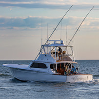 Hatteras Marlin Club