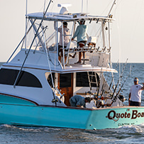 Hatteras Marlin Club