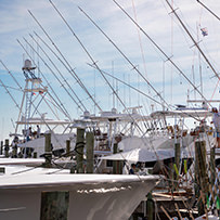 Hatteras Marlin Club