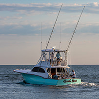 Hatteras Marlin Club
