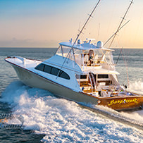 Hatteras Marlin Club