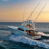 Hatteras Marlin Club