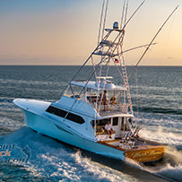 Hatteras Marlin Club