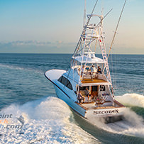 Hatteras Marlin Club