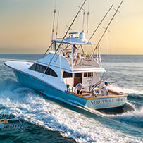 Hatteras Marlin Club