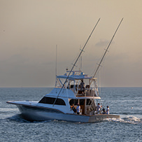 Hatteras Marlin Club