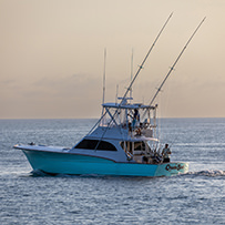 Hatteras Marlin Club