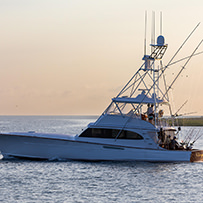 Hatteras Marlin Club
