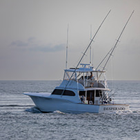 Hatteras Marlin Club