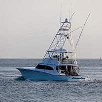 Hatteras Marlin Club