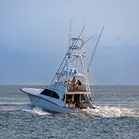 Hatteras Marlin Club