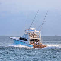 Hatteras Marlin Club