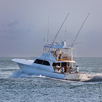Hatteras Marlin Club