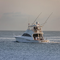 Hatteras Marlin Club