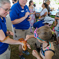 Hatteras Marlin Club