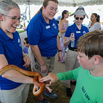 Hatteras Marlin Club