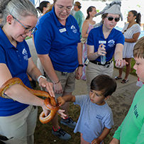 Hatteras Marlin Club