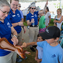 Hatteras Marlin Club