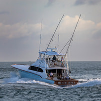 Hatteras Marlin Club
