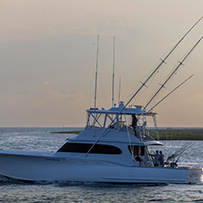 Hatteras Marlin Club