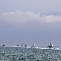 Hatteras Marlin Club