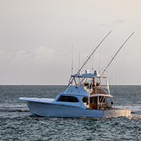 Hatteras Marlin Club