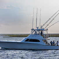 Hatteras Marlin Club