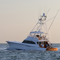 Hatteras Marlin Club