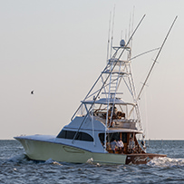 Hatteras Marlin Club
