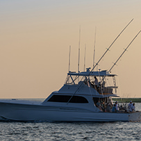 Hatteras Marlin Club