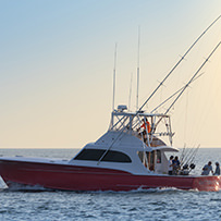 Hatteras Marlin Club