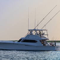 Hatteras Marlin Club
