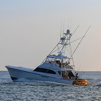 Hatteras Marlin Club