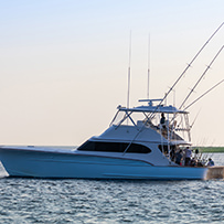 Hatteras Marlin Club
