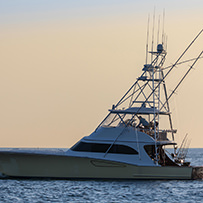Hatteras Marlin Club