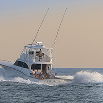 Hatteras Marlin Club