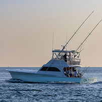 Hatteras Marlin Club
