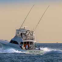 Hatteras Marlin Club