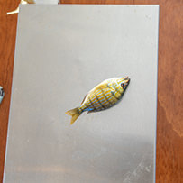 Hatteras Marlin Club